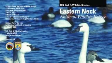 Eastern Neck NWR General Brochure