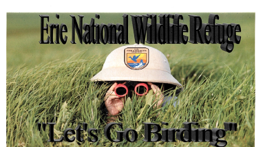 Let's Go Birding 2016