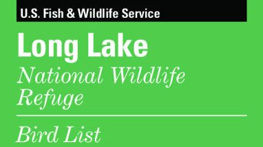 Long Lake Bird List