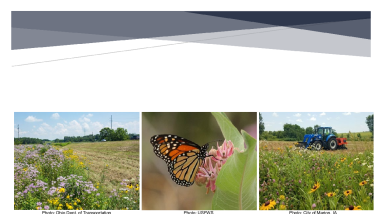 LANDOWNER GUIDE: Nationwide Candidate Conservation Agreement for Monarch Butterfly on Energy and Transportation Lands