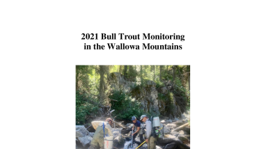 NPT 2021 Bull Trout Monitoring Report.pdf