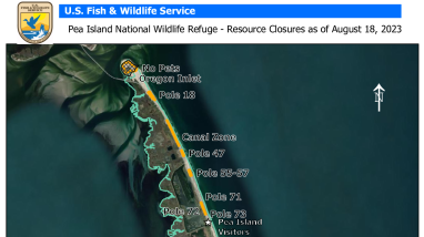 Bird and Turtle Closures at Pea Island NWR