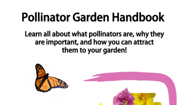 Pollinator Garden Handbook 