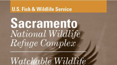Sacramento National Wildlife Refuge Complex Wildlife Checklist