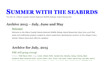 Summer with the Seabirds 2015