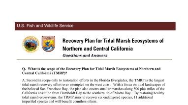 FAQ: Recovery Plan for Tidal Marsh Ecosystems of Northern and Central California 
