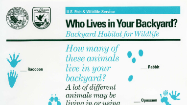 WhoLivesInYourBackyard.pdf