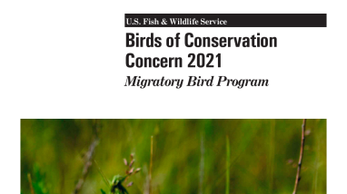 Birds of Conservation Concern 2021