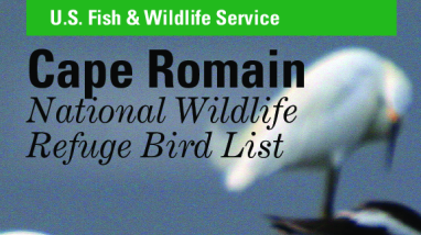 Cape Romain NWR Bird List