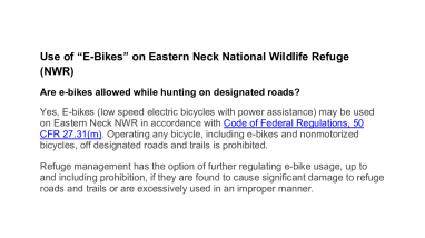 E-bike Statement