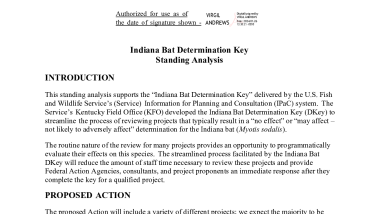 Indiana Bat Determination Key Standing Analysis
