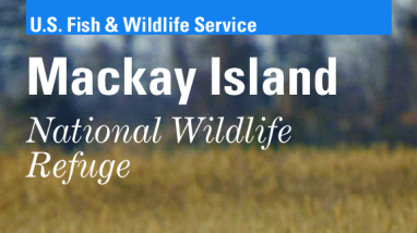 Mackay Island NWR Brochure