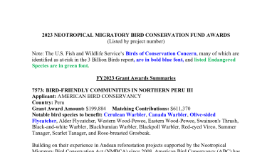 Neotropical Migratory Bird Conservation Act Awards Summaries 2023