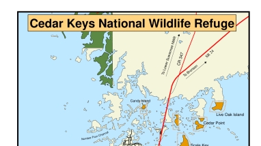 Public Use Map of Cedar Keys NWR