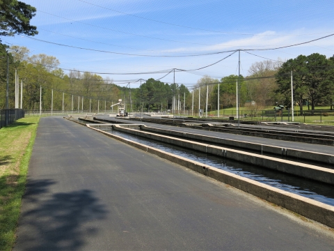 Raceways