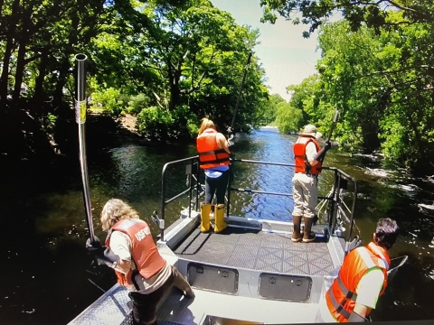 Electrofishing the Concord River, MA