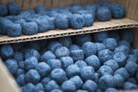 A cardboard box holds peanut-butter flavored vaccine baits to protect prairie dogs against sylvatic plague, a non-native disease. The pellets are dyed blue so prairie dogs can see them easily. They look like blueberries.