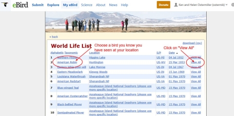 A birder's life list highlights several species of birds and where and when they were seen.