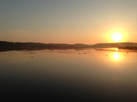 Sunrise at Great Meadows NWR