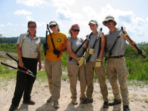 A group of volunteers get together for a photo after lopping pine saplings.