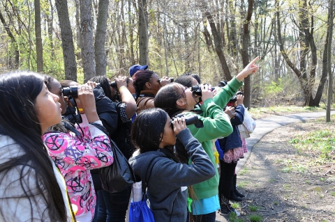 Students birdwatching