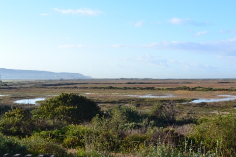 High tide on the marsh.
