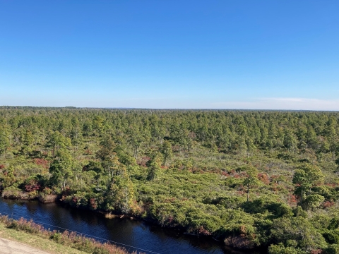 Elevated view of a shrub-dominated landscape with sparse trees and a canal in the foreground