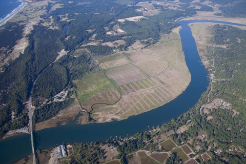 Ni-les'tun Marsh Restoration 2009