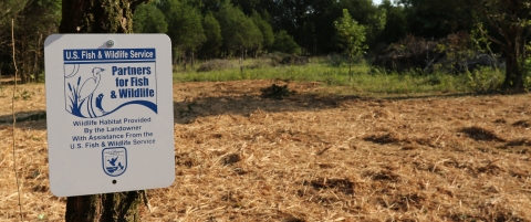 Partners for Fish and Wildlife sign in front of a restored limestone glade in Tennessee