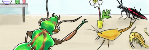 A slice of an obscure species club comic that shows delta green ground beetle talking to the club