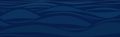 decorative blue wavy line graphic