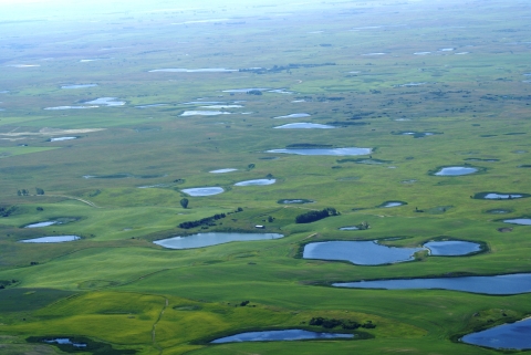 prairie potholes