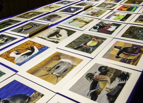 Image is multiple pieces of Junior Duck stamp artwork displayed on a table for the Junior Duck Stamp Contest 2023