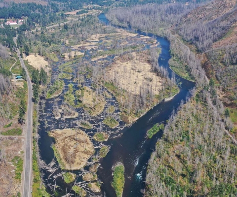 An aerial view of a serene river winding through a lush forest, showcasing nature's beauty from above.