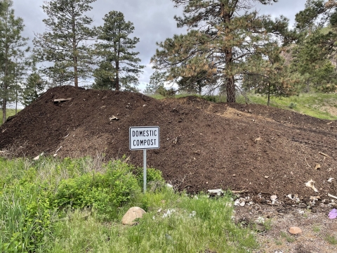 Pile of compost in a forest environment