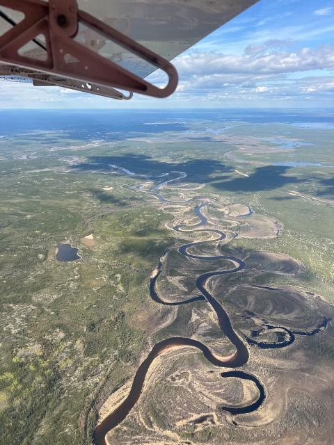 aerial view of rivers and forests