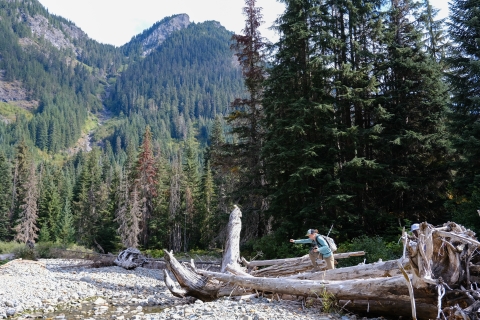 A woman steps up onto large logs that lay in a dry creek. Forest and mountains are in the background.