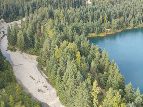 An aerial view of a dry creek on the left and a blue body of water on the right, separated by green trees.