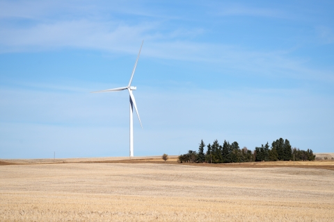 A wind turbine in a field