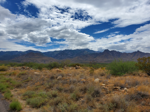 A desert with mountains in the background