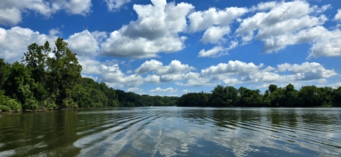 Calm river with trees along both shorelines and a partly cloudy blue skie.