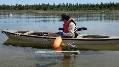 A biologist collects water samples from a canoe