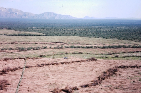 A cleared field