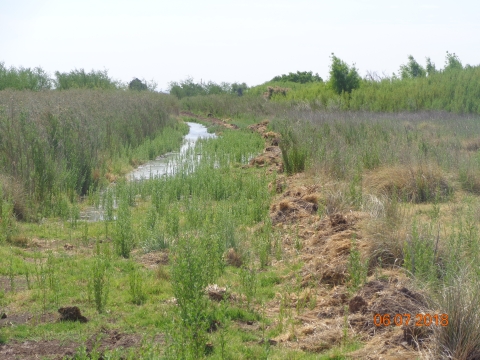 A creek in a grassland