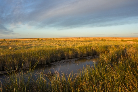 A photo of a Cienega at Bitter Lake National Wildlife Refuge taken right before sunset.