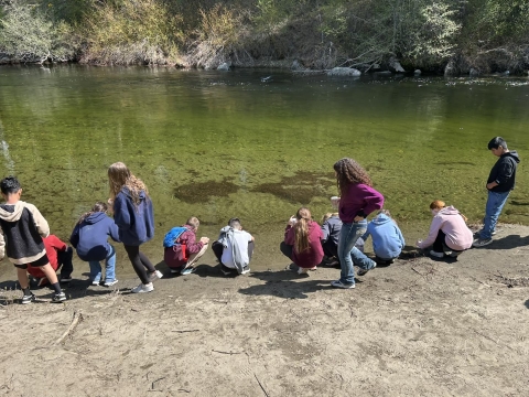 Image of twelve students from the back gathering by a clear creek