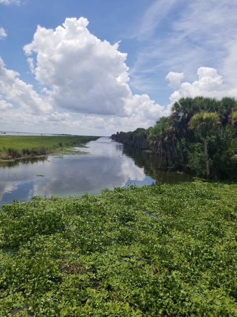 a natural landscape featuring a river or waterway winding through a lush, green environment.