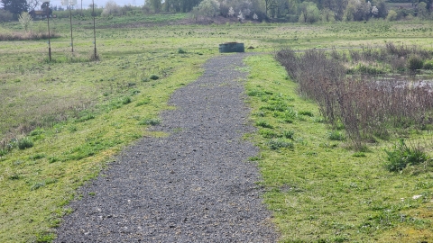 Image of a straight, flat, gray trail of crushed gravel with green grass on either side.