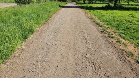 Image of a wide gray crushed gravel trail with green grass on either side.