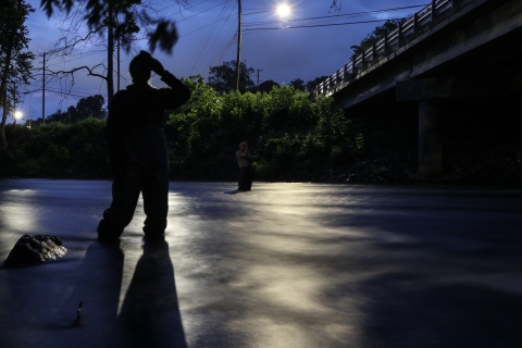 Two people standing in a river at night, looking up at a bridge